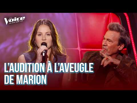 Marion — Wonderful Life